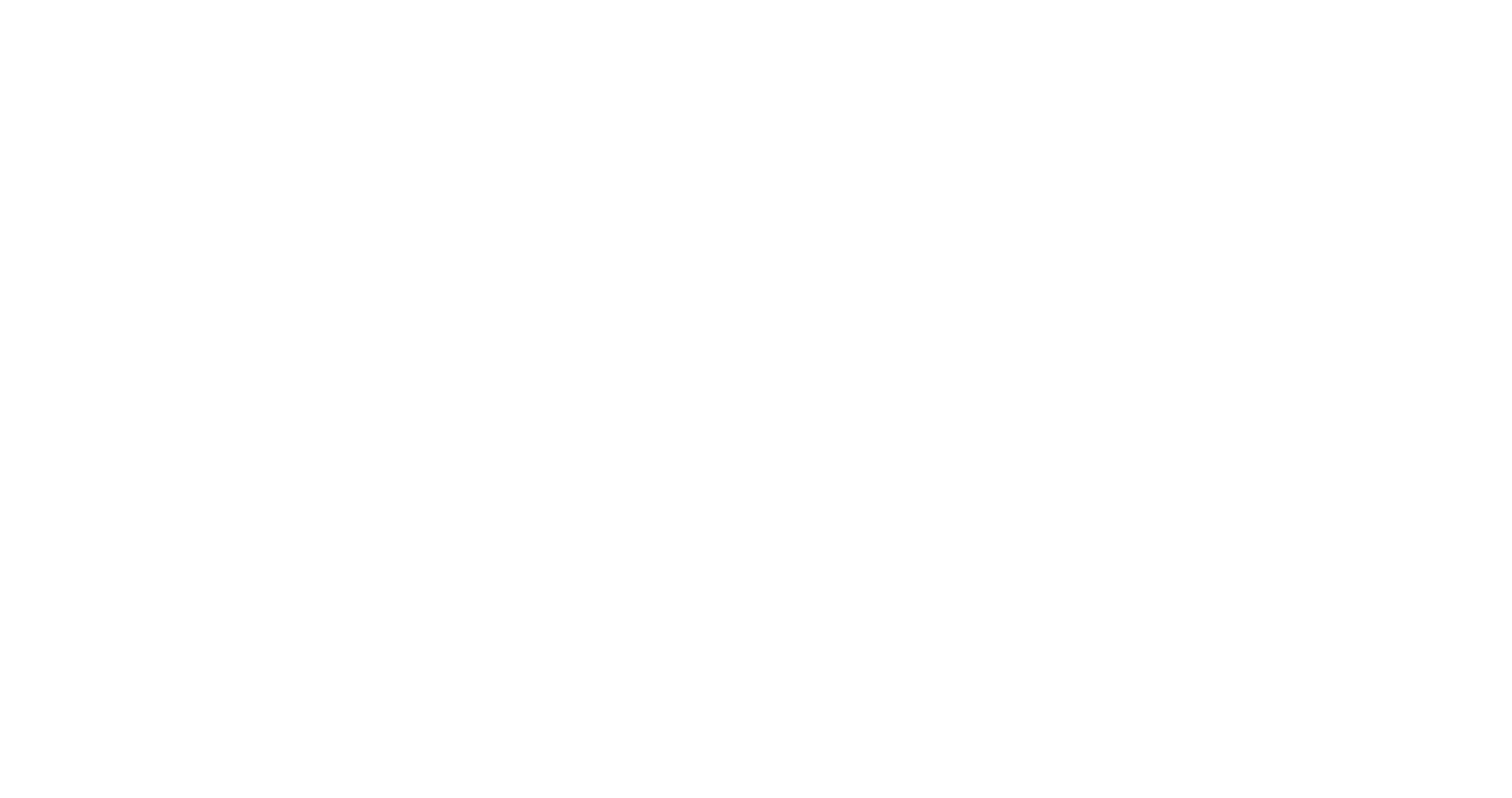 SOFT STEPS 2 LOGO